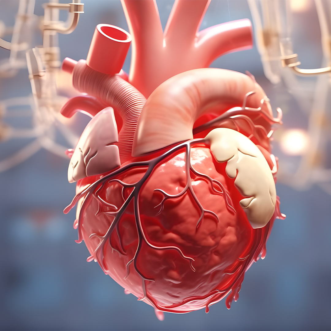 Transcatheter Aortic Valve Replacement (TAVR)